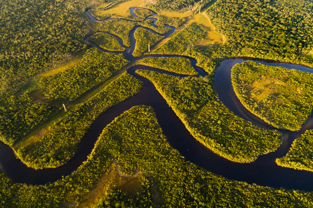 Le fleuve d’Amazonie, Amérique Latine 
