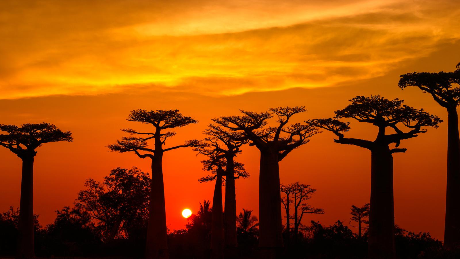 Coucher de soleil à Madagascar 