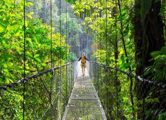 Les voyages organisés en nature : la meilleure façon de découvrir la beauté sauvage