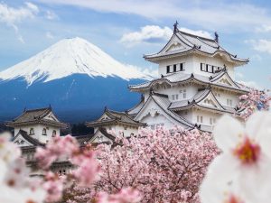 Château de Himeji avec les cerisiers en fleurs et le Mont Fuji derrière