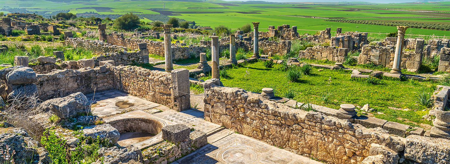 Site archéologique de Volubilis