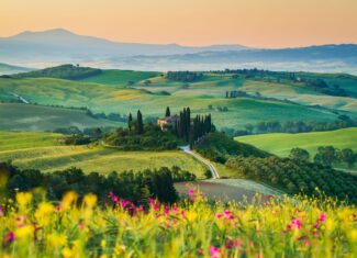 Saveurs d’Italie en été : guide gastronomique de la Toscane
