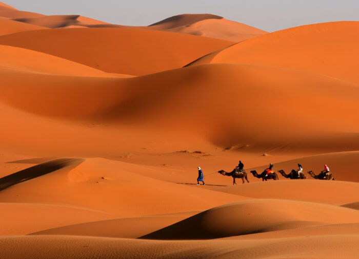 Le guide complet pour la Tunisie