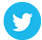 twitter icon