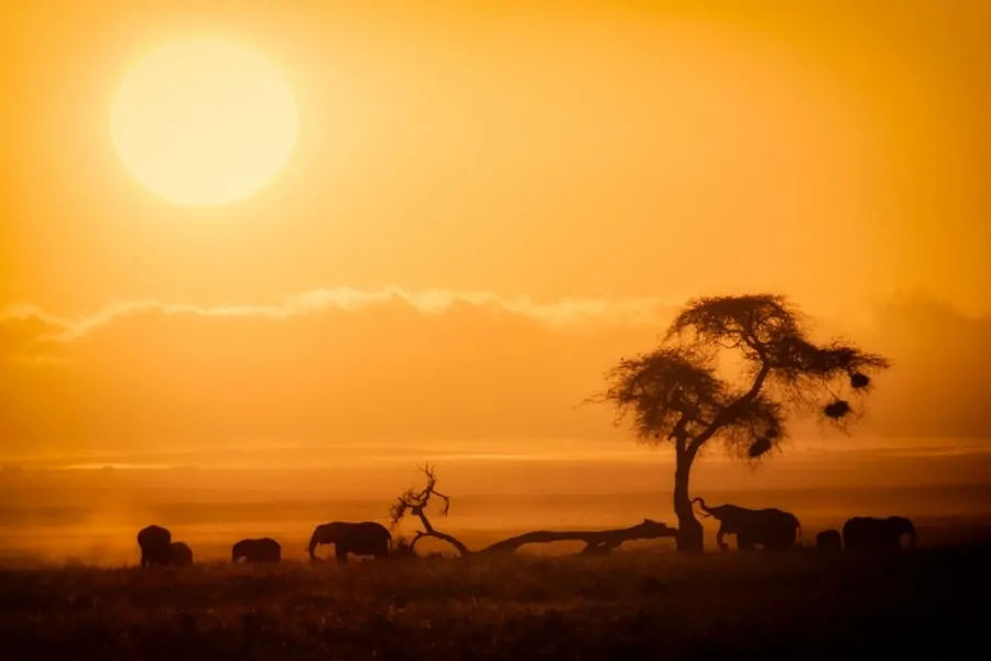 Coucher de soleil au Kenya 