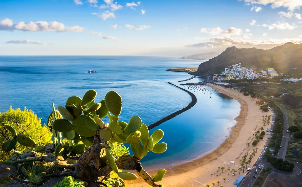 Tenerife, îles Canaries, Espagne 