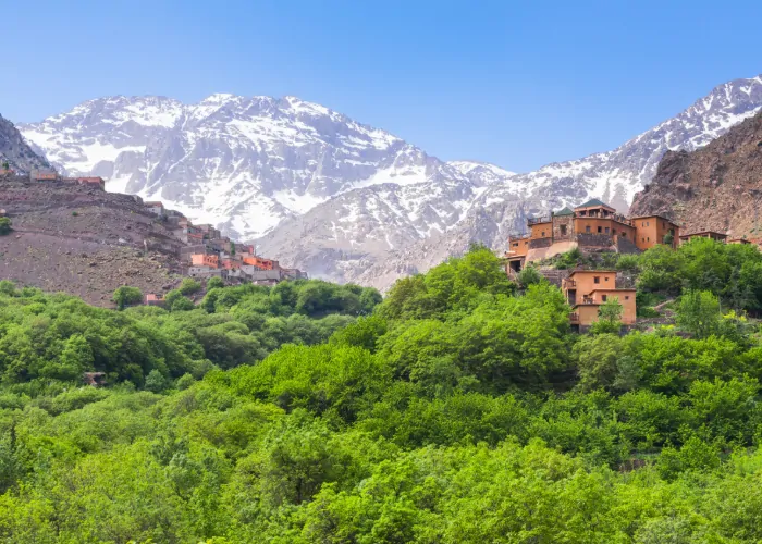 Explorer le Maroc : activités, conseils et saveurs locales